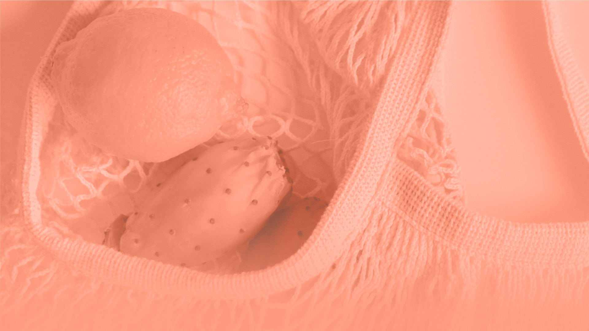 Abstract image of a shopping bag with vegetables in.