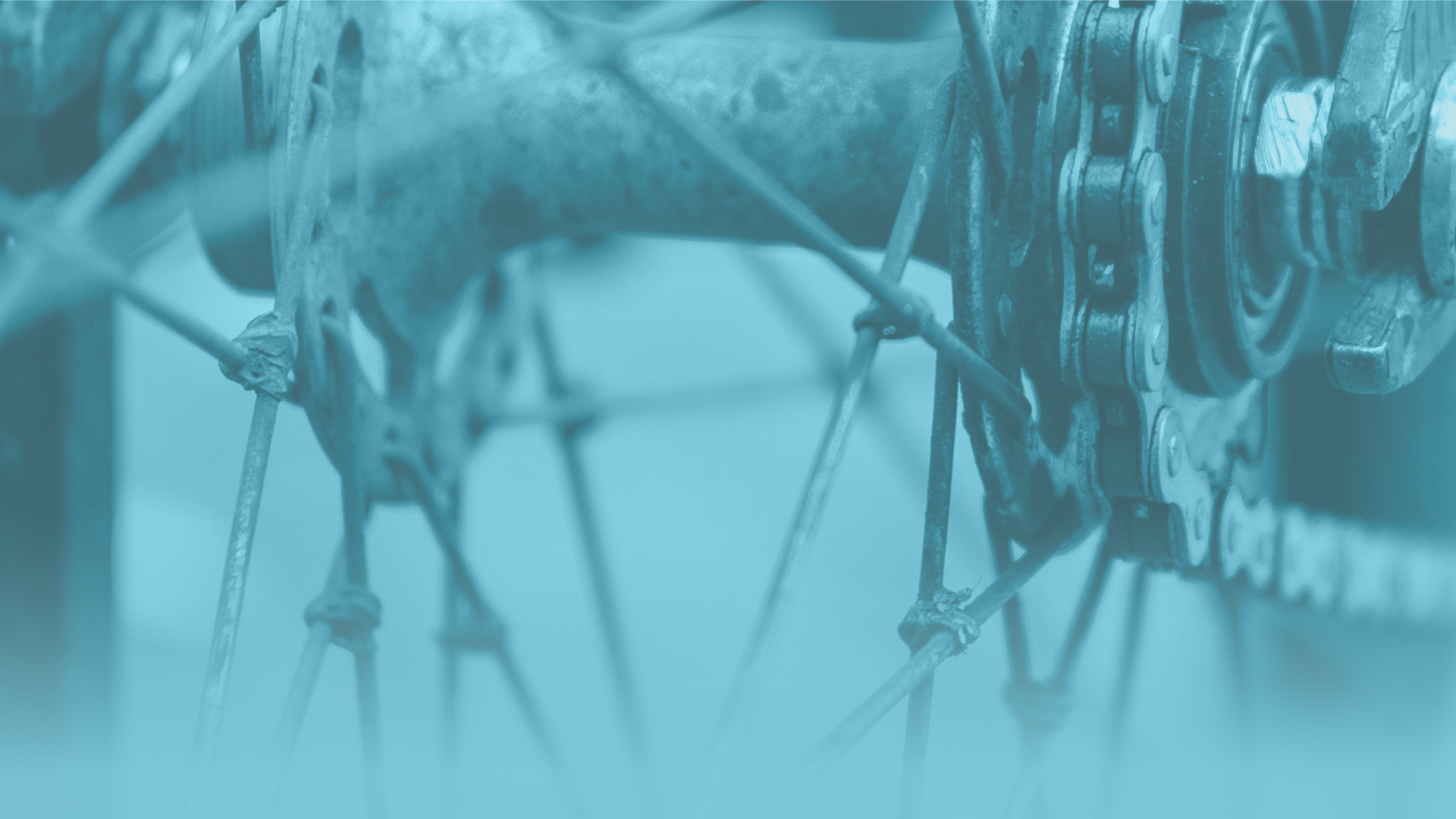 Close-up image of a bike wheel.