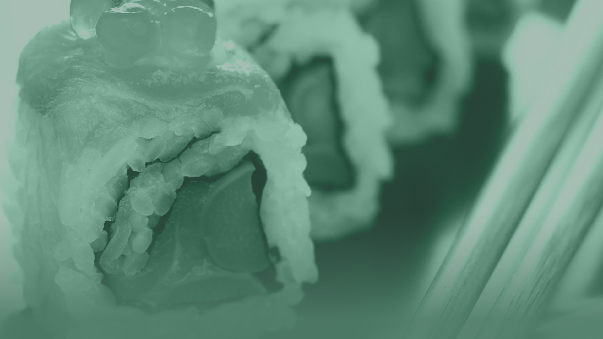 Abstract image of sushi close-up.