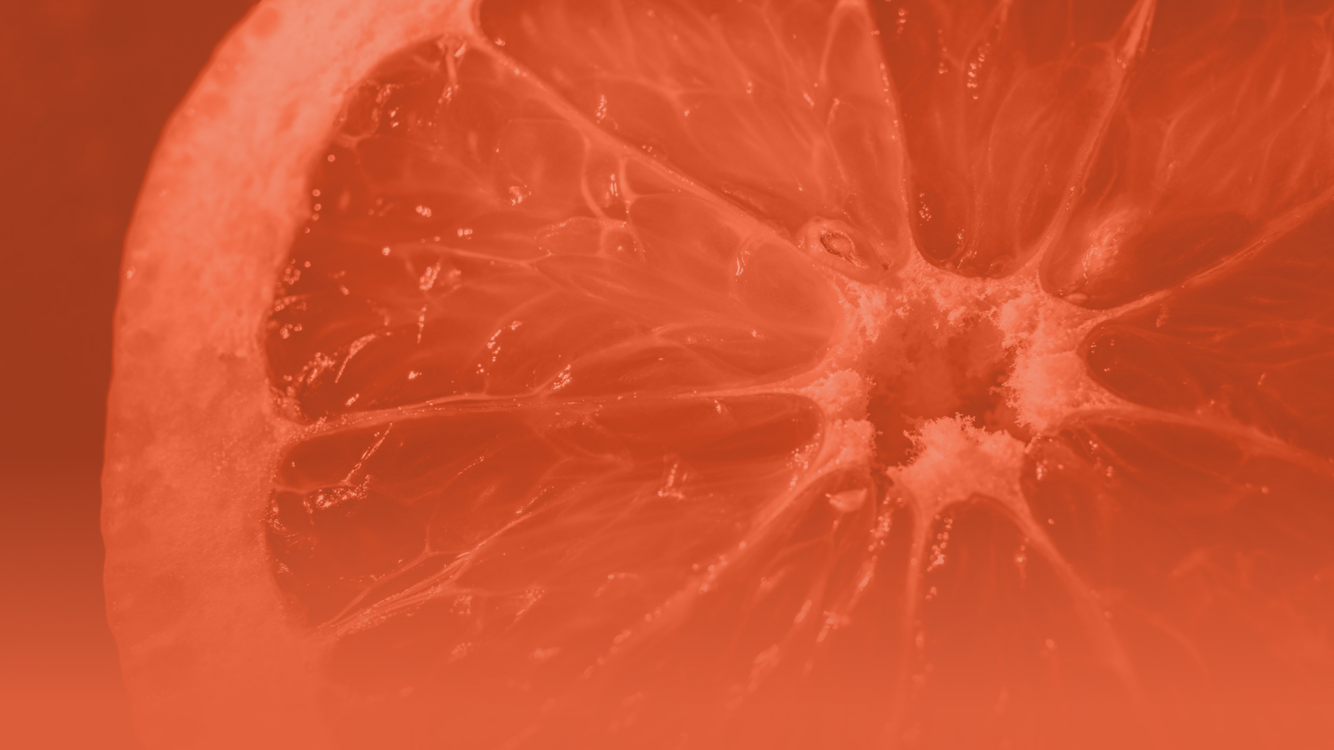 Close-up abstract image of an orange.