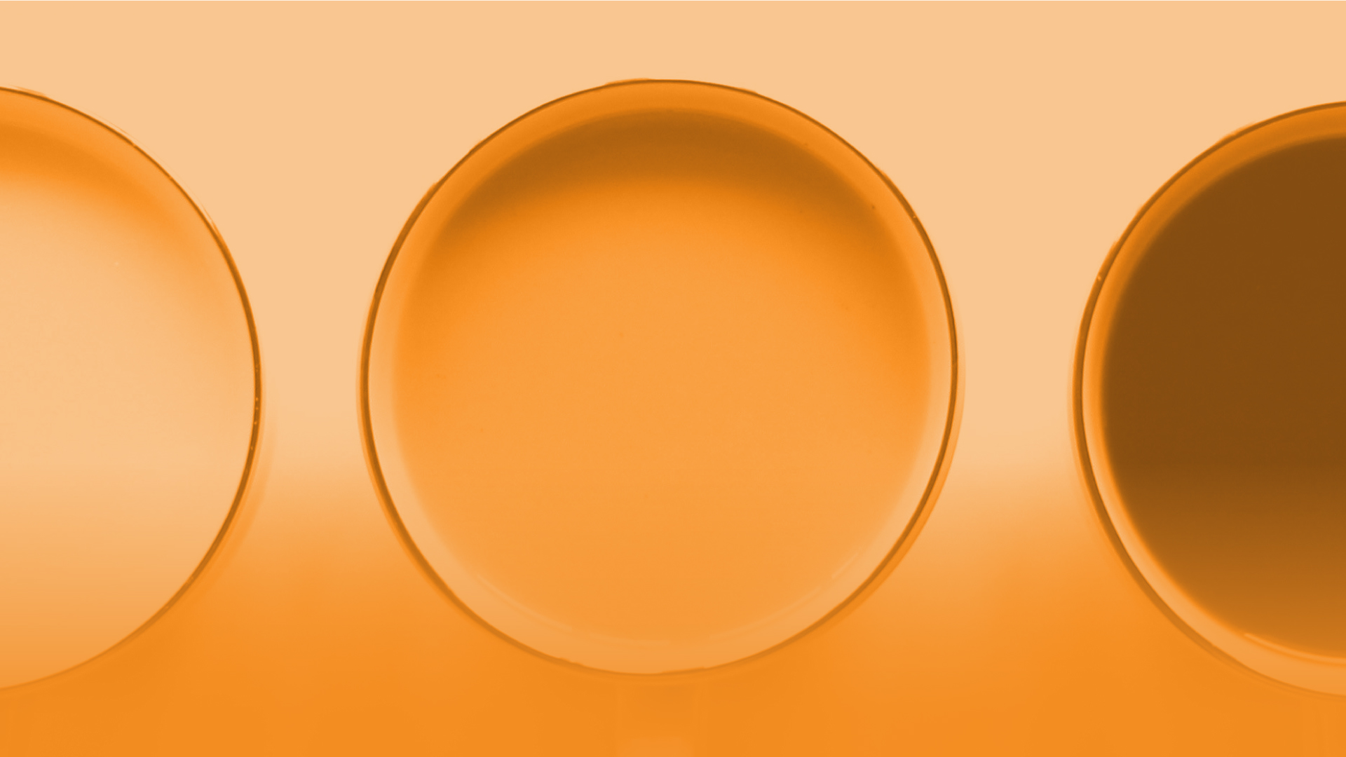 Image of 3 circles on orange.