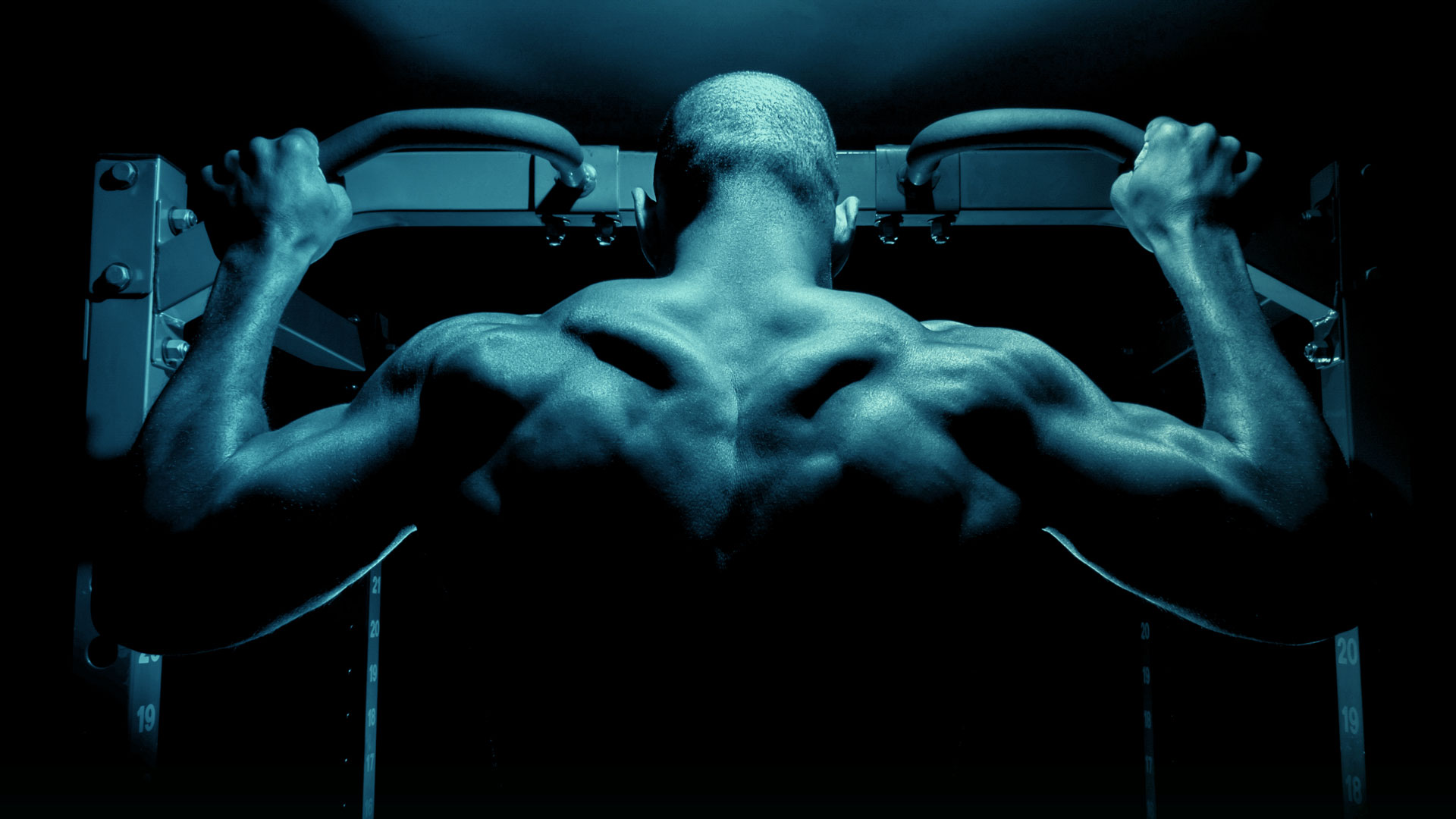 Adapt nutrition hero image