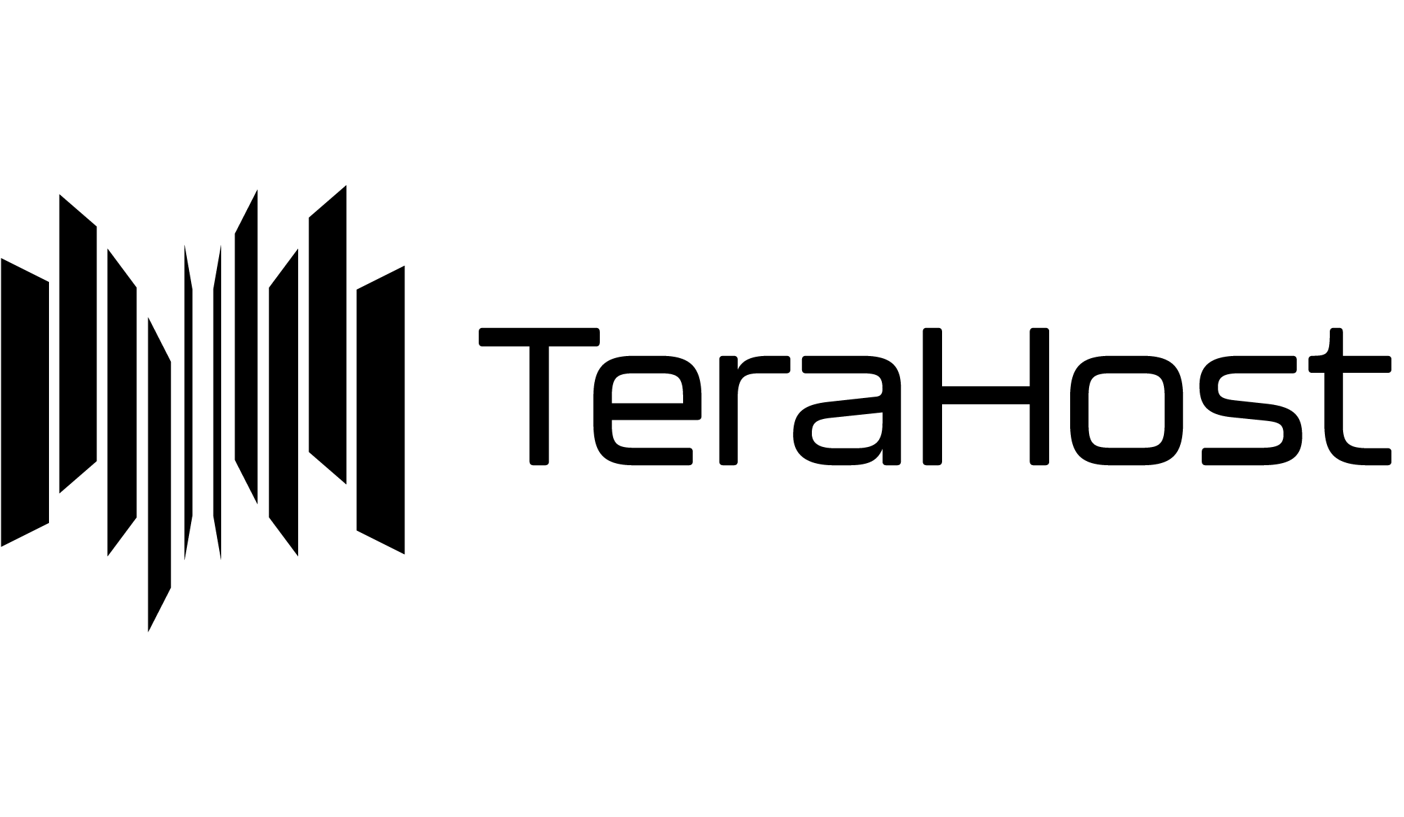 Tje TeraHost logo.