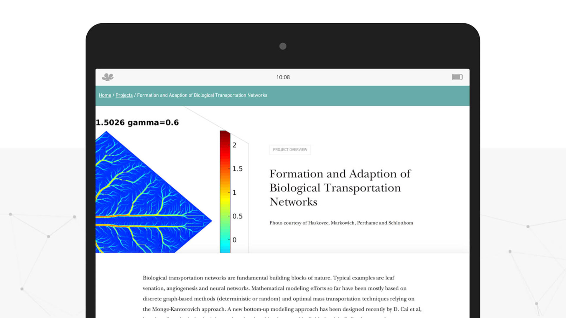 University of Cambridge CCIMI website inner page