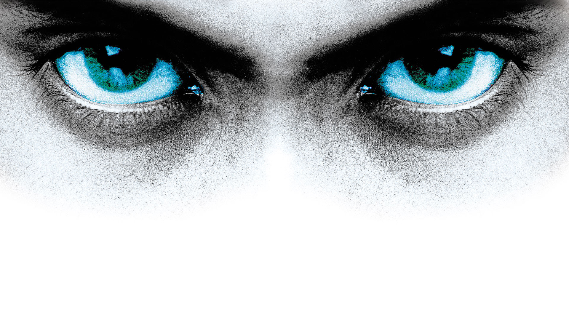 Keep Britain Tidy We're Watching You Dog Fouling Eyes