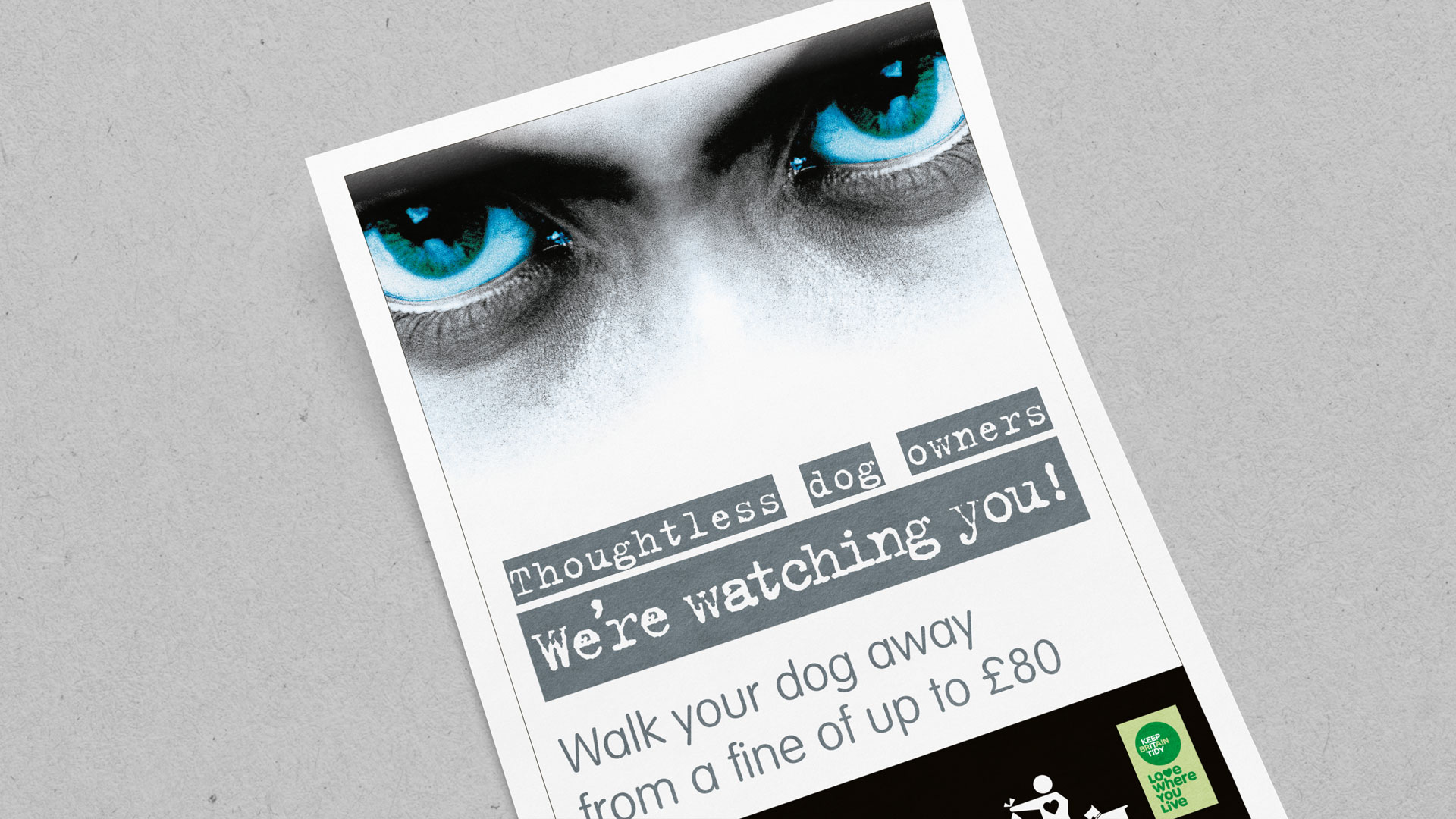 Keep Britain Tidy We're Watching You Dog Fouling Leaflet