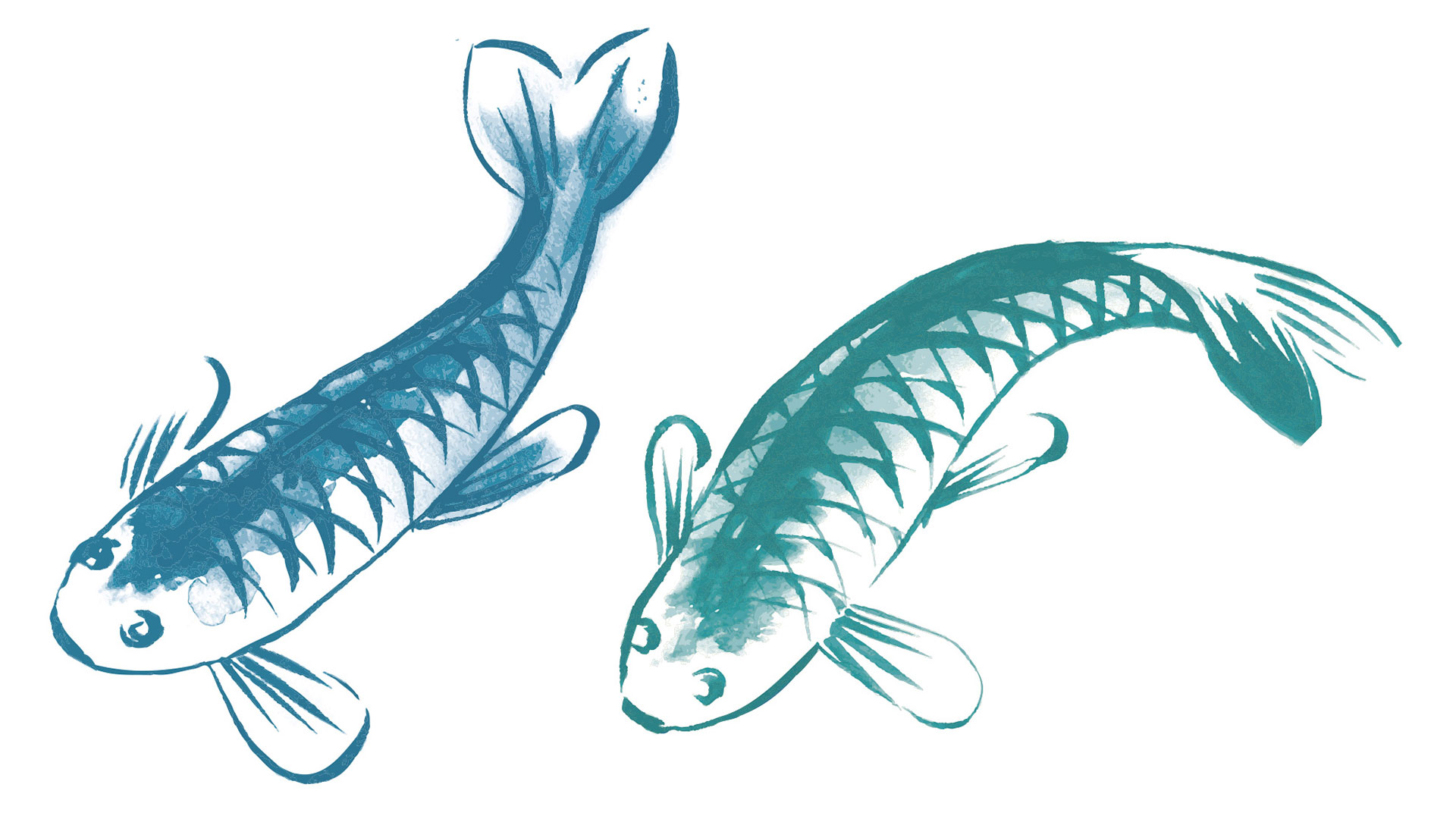 Koi Chinese Kitchen graphics