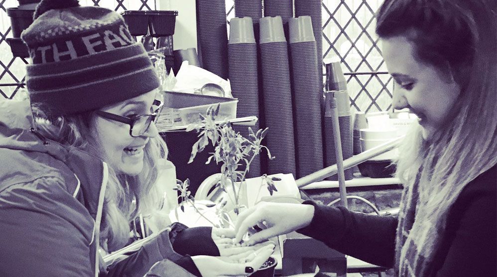 Photo of women gardening