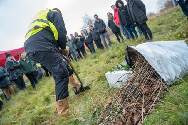 Photograph of group of people watching a tree be planted