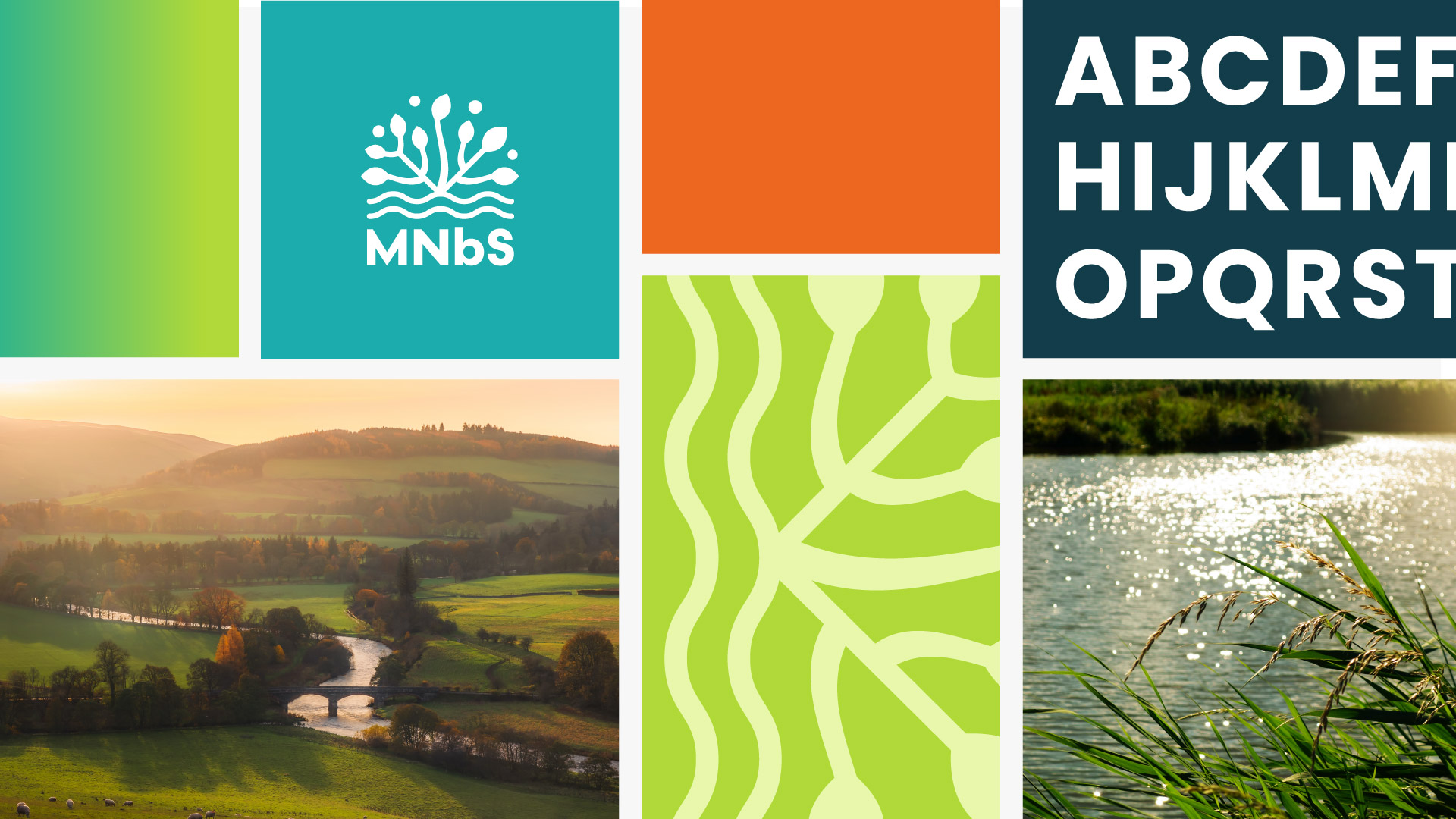 Elements from the MNbS branding, showing colours, text and imagery.