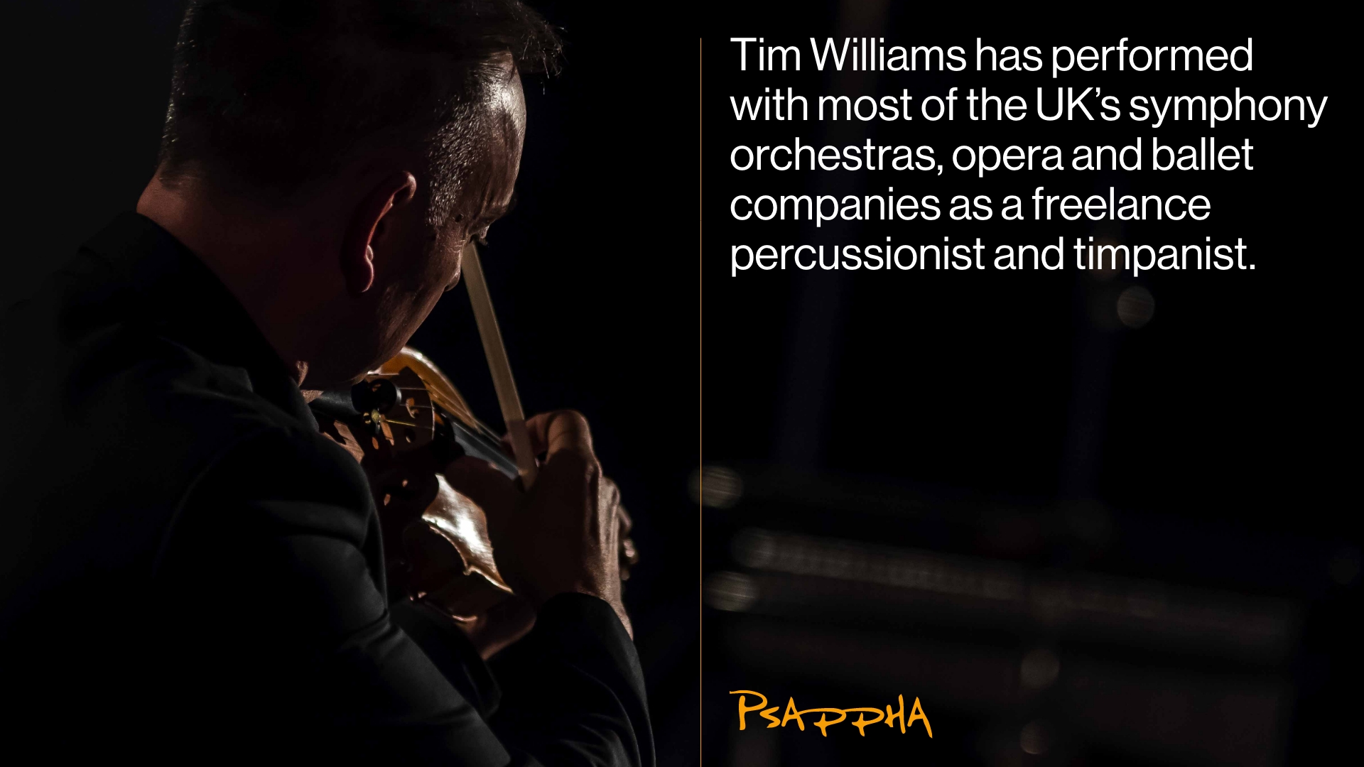 A description of a musician on the website.