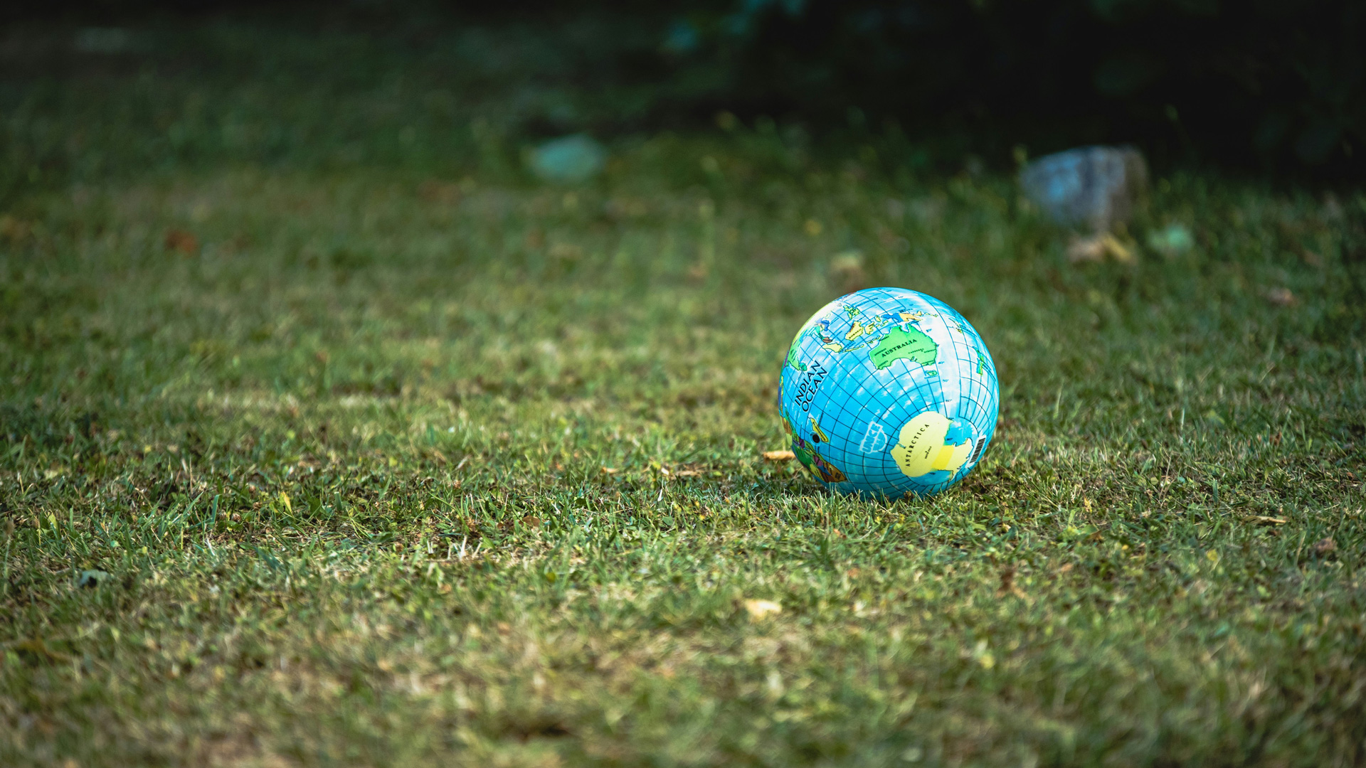 An image of grass with a ball with a globe on it.